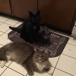 Meet your Posher, Christine